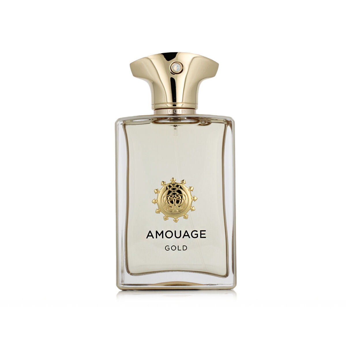 Men's Perfume Amouage EDP Gold 100 ml