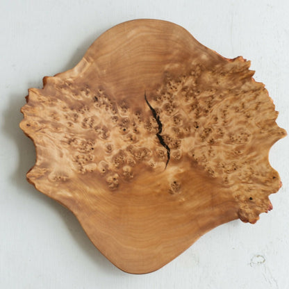 Ultra thin decorative wood dish MASK